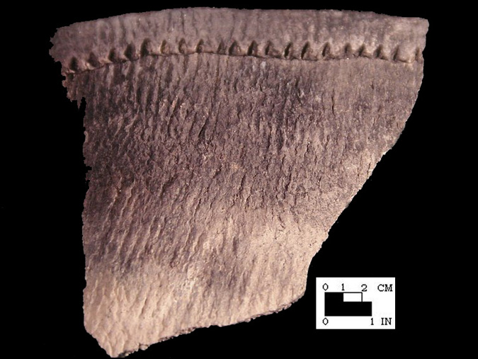 Shepard rim sherd from the Winslow site 18MO9-SI Cat. #449644 - Courtesy of the Smithsonian Institution, Museum of Natural History, Department of Anthropology.